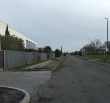 Topaie ed ex Copaim verso la riconversione «Ecco i nostri progetti»