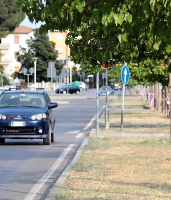 Via Da Vinci a Sovigliana (FOTOSESTINI)