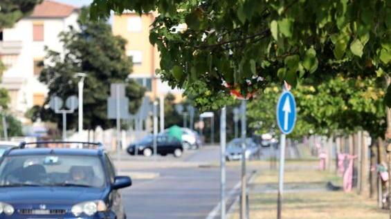 Via Da Vinci a Sovigliana (FOTOSESTINI)