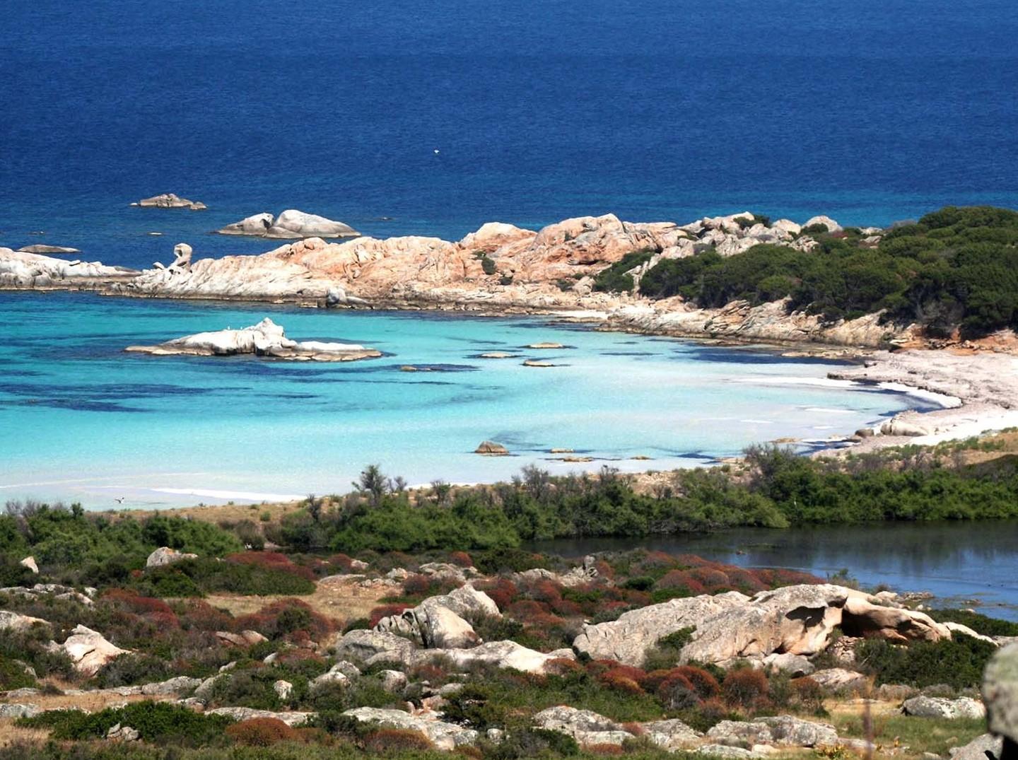 Asinara e pesca, sì alle due commissioni speciali 