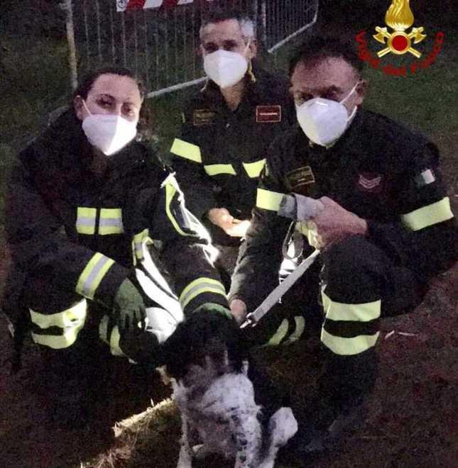 I pompieri salvano una cagnolina intrappolata