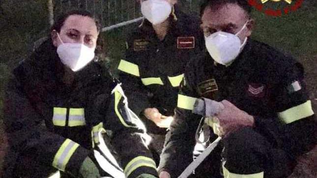 I pompieri salvano una cagnolina intrappolata
