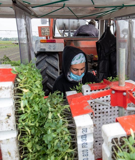 Imprenditori agricoli e sostegno dal Parco 