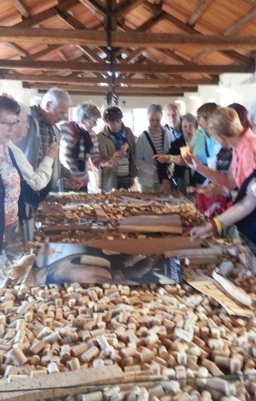 Sughero, la bollitura contro il coleottero killer 