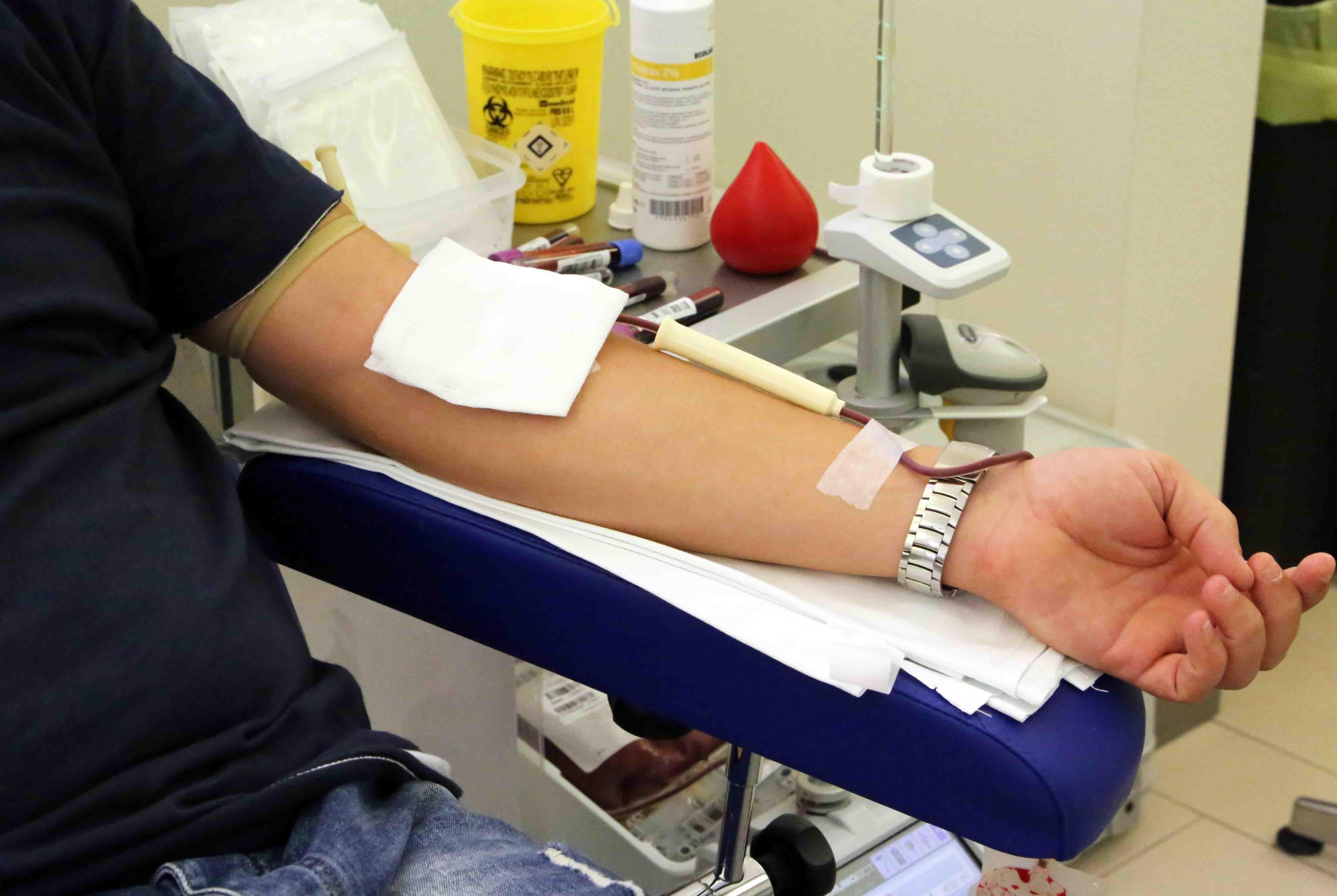 Una donazione di sangue all'Avis