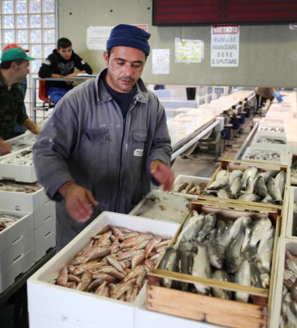 Il pesce scarseggia anche nel Ferrarese ed è caro. Ma sulle tavole non è mancato