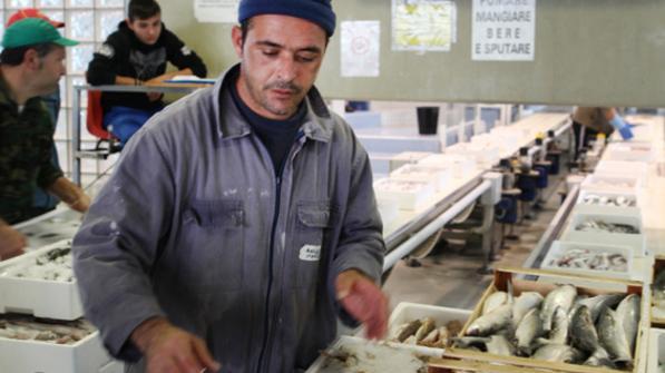 Il pesce scarseggia anche nel Ferrarese ed è caro. Ma sulle tavole non è mancato