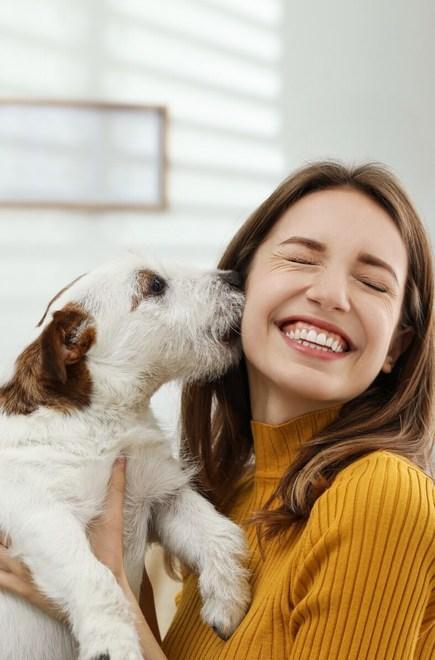 La padrona è malata, il cane scappa di casa: «Lo abbiamo trovato davanti alla clinica» 