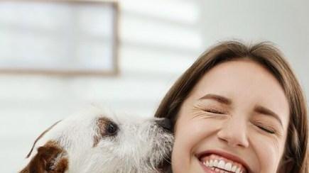 La padrona è malata, il cane scappa di casa: «Lo abbiamo trovato davanti alla clinica»
