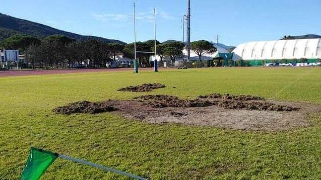Una nuova recinzione nel campo di rugby per fermare i cinghiali