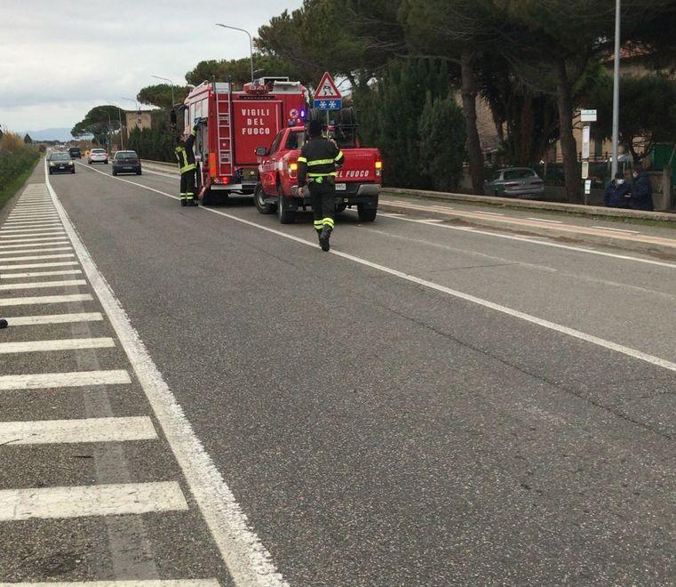Investito da un’auto si accuccia sui binari Un cane salvato dai vigili del fuoco 