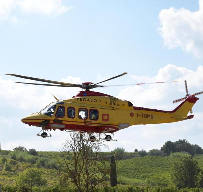 Travolto da un albero Boscaiolo soccorso da Pegaso 