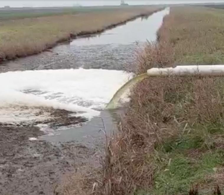Strana schiuma bianca scaricata nel canale