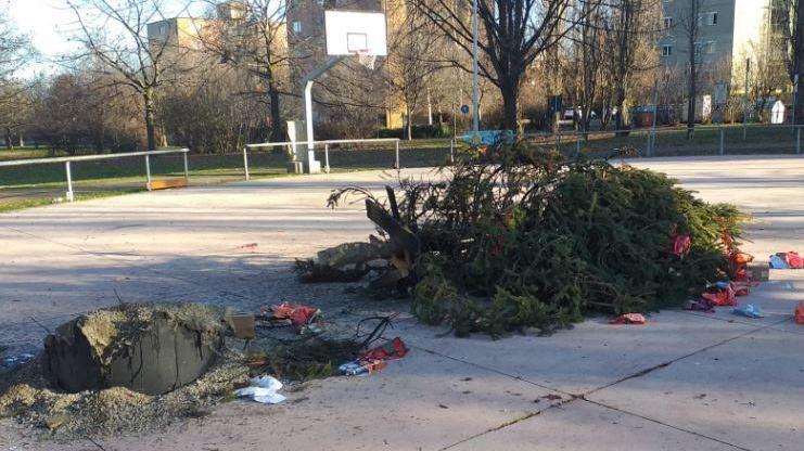 I vandali contro l’albero