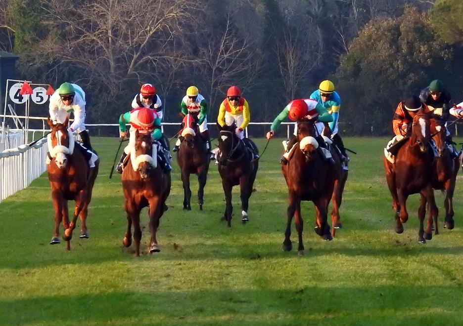 Il Granducato a cavallo: dal Caprilli a San Rossore, piccoli segnali di ripresa 