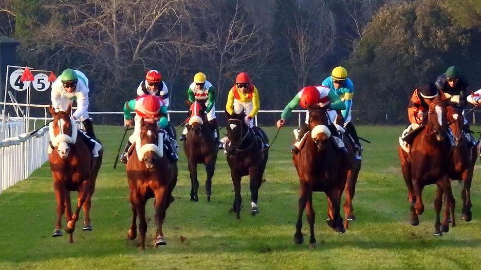 Il Granducato a cavallo: dal Caprilli a San Rossore, piccoli segnali di ripresa