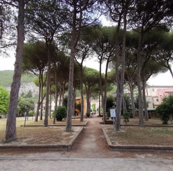 Nuovo look per il Parco dei Pini: demolita la Baracchina 