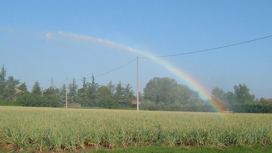 Irrigazione di precisione
