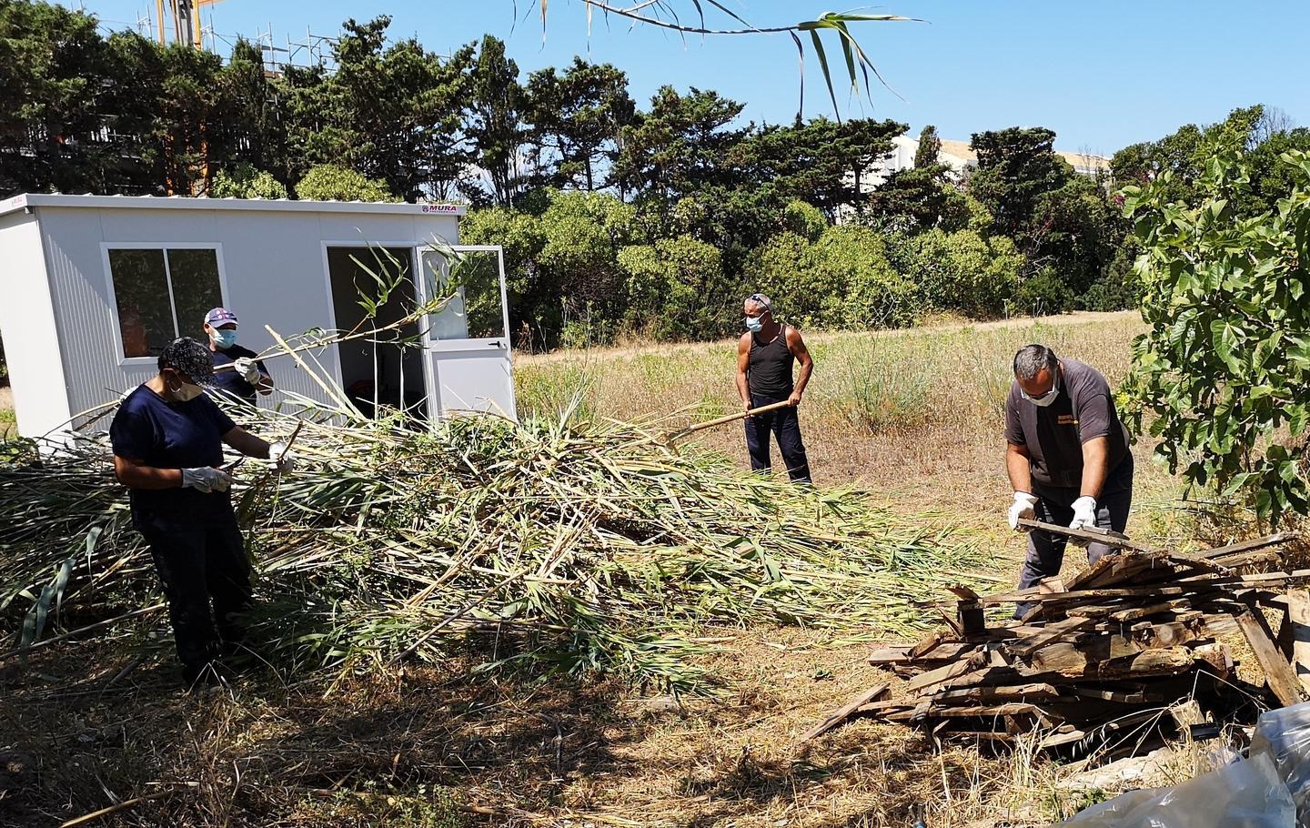 Cantieri Forestas, prolungati 80 contratti 