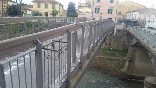 Vandalizzate le fioriere curate dai disabili Sospeso il progetto