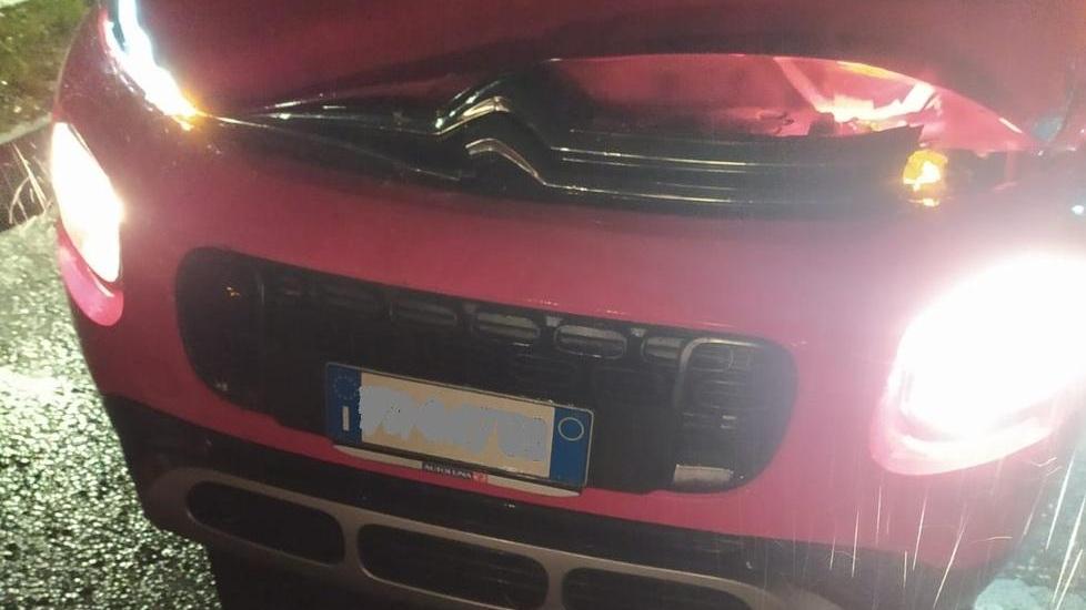 Un albero e un palo cadono su un’auto, illesa la conducente