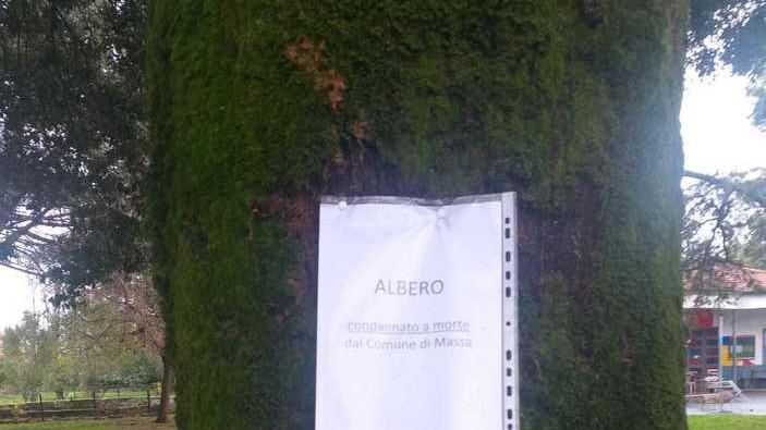 Due manifestazioni in tre giorni contro l’abbattimento delle piante
