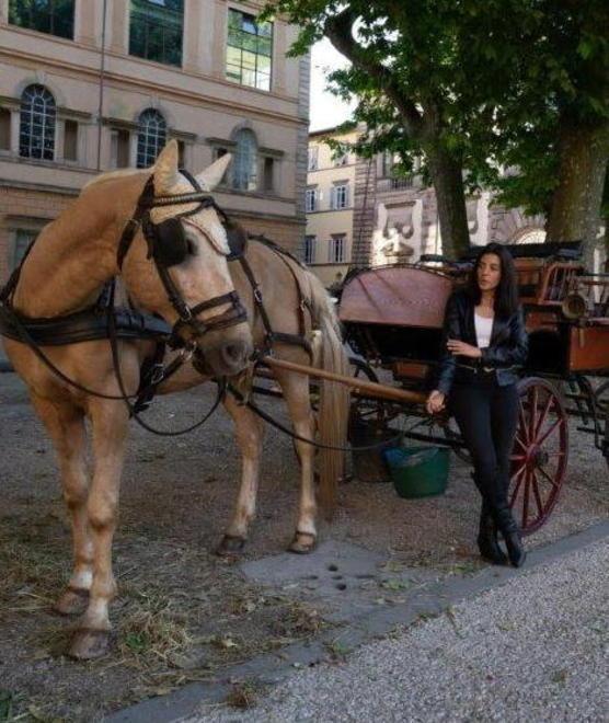Lanciano un petardo contro il cavallo che traina la carrozza, la cocchiera: «C'erano anche i turisti» 
