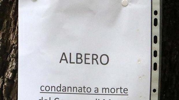 Parco pubblico o giardino storico? Questo il dubbio