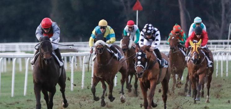 Diamond Falls è super nel premio “Fogliata” 
