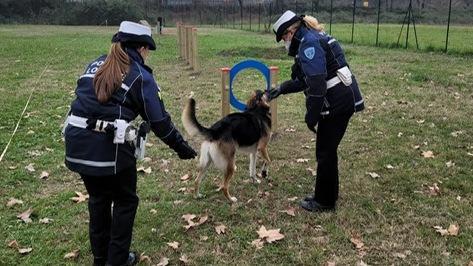 Un’area cani contro i maltrattamenti 