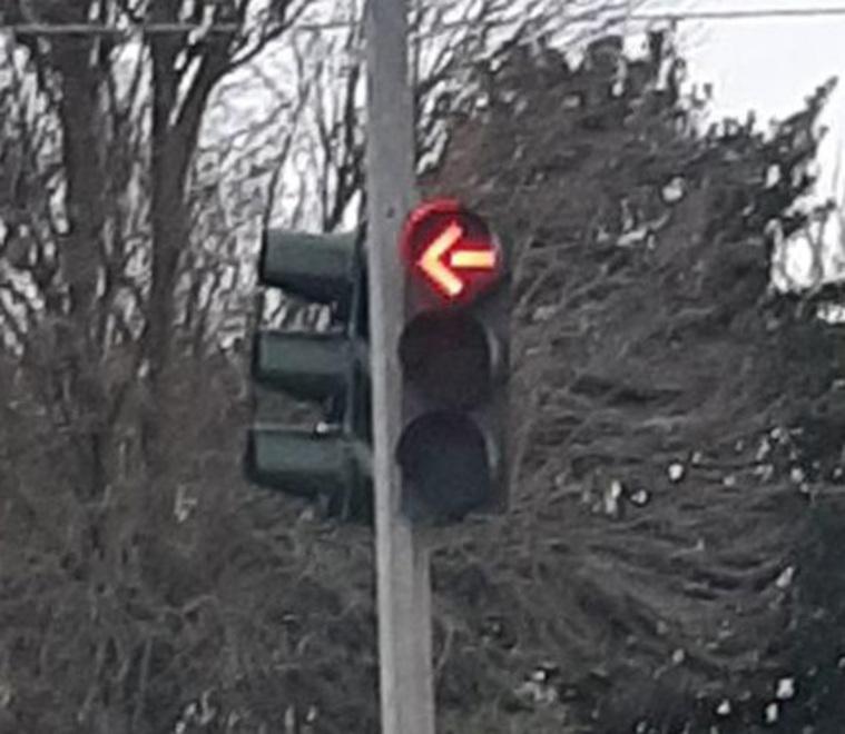 Il vento forte porta via gli alberi di Natale 