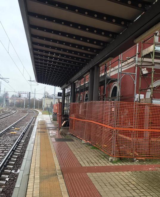 «Il problema è Fer e il suo duplice ruolo Anche i treni elettrici non basteranno» 