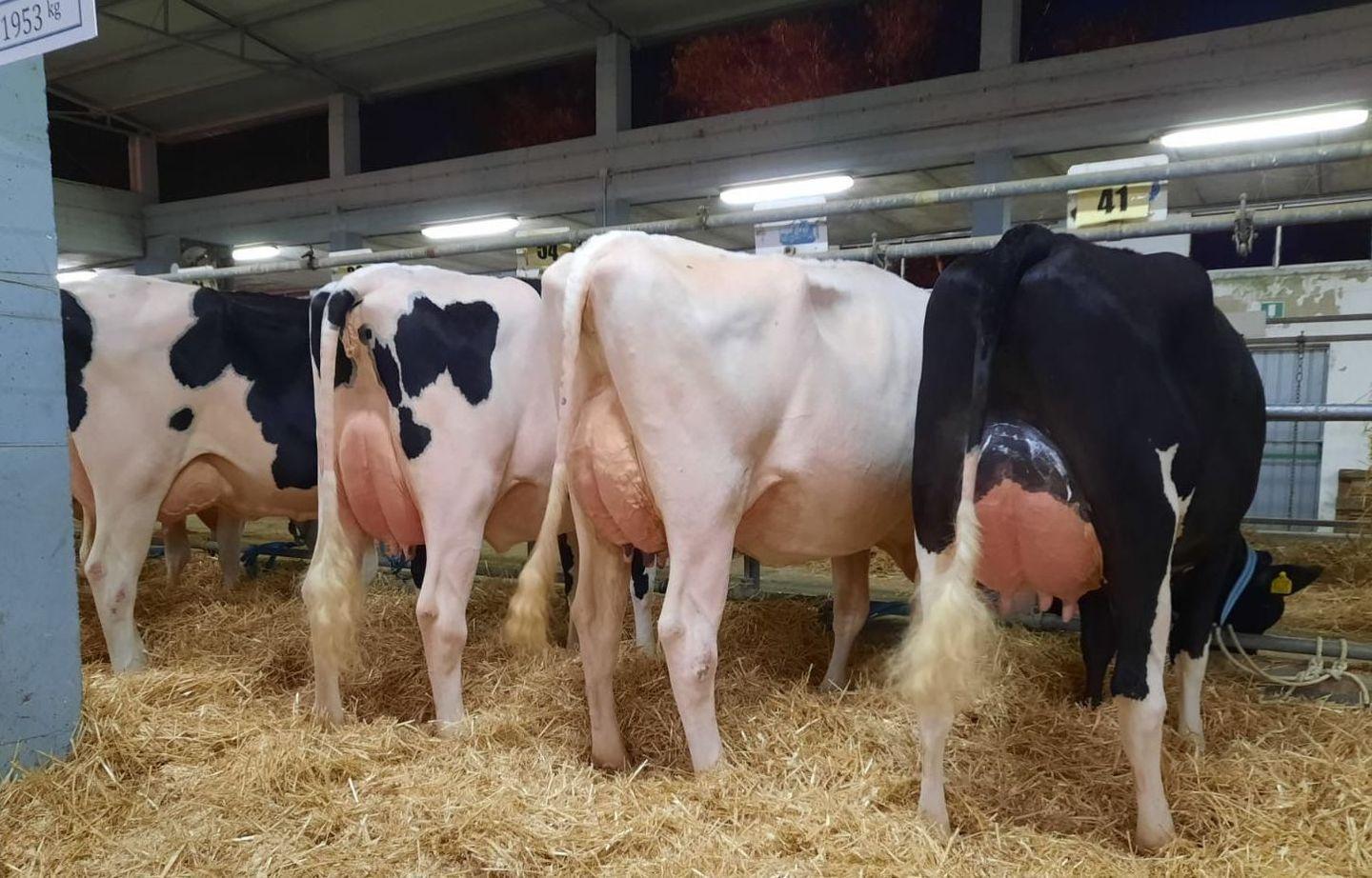 Insularità e costi aumentati, aziende sarde in sofferenza 