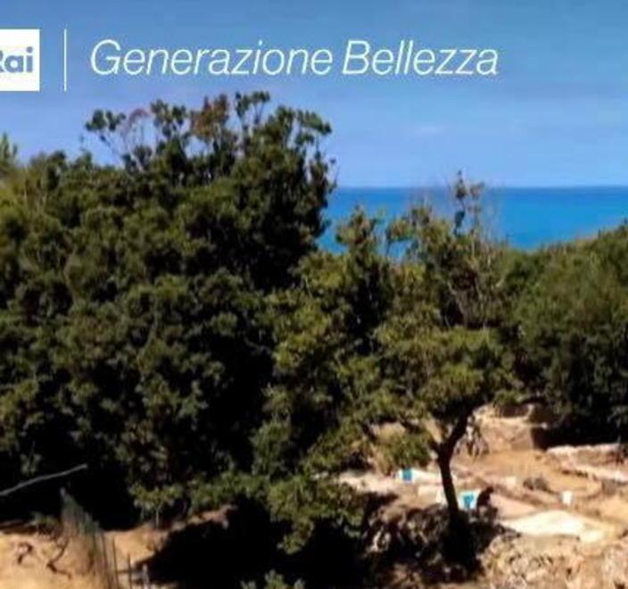 Professionisti con studenti e volontari a Poggio del Molino 