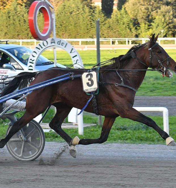 Probo Op, tredici anni e dodicesima stagione iniziata con un bronzo