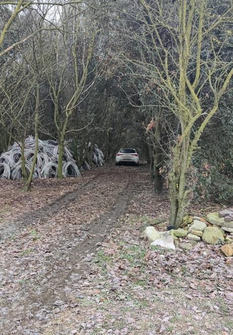 L’auto rubata ritrovata in valle Giralda: «Grazie al tam tam di social e del giornale» 