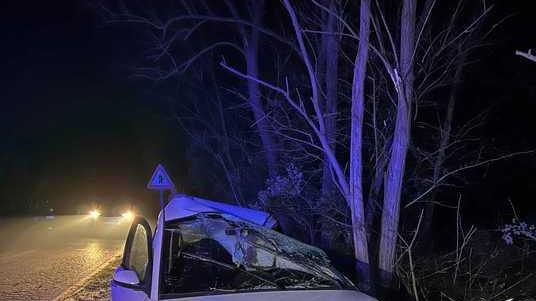 Bosco Mesola, grave dopo l’incidente: due paesi fanno il tifo per Sara