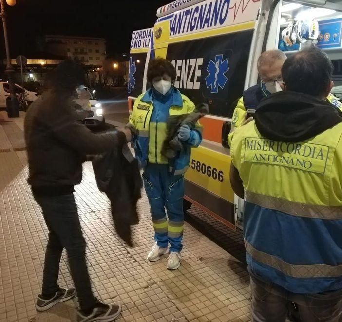 L'unità di fratellanza di strada