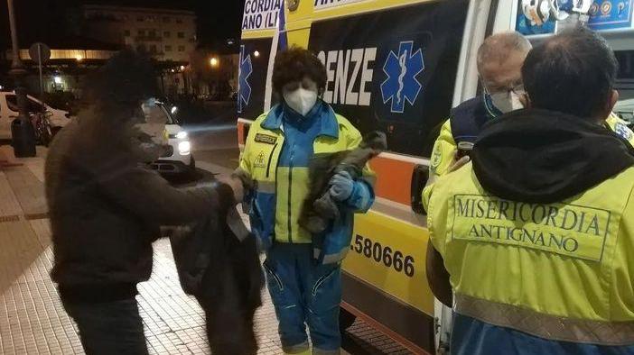 L'unità di fratellanza di strada