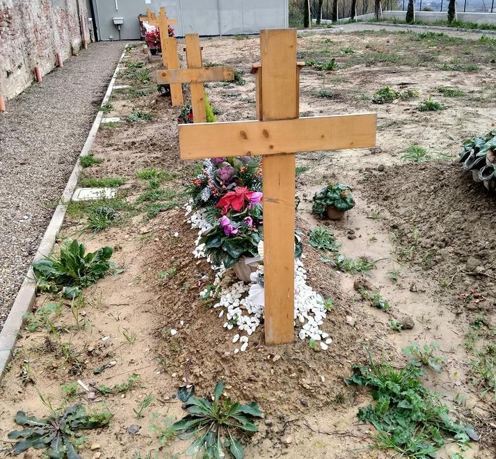 «Tombe in mezzo al fango e cappelline nel degrado»