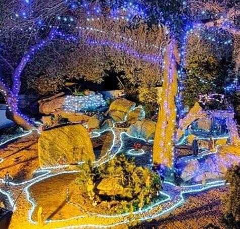 Santa Teresa il presepe più bello è quello di Ruoni
