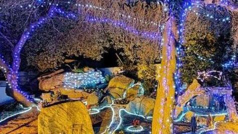 Santa Teresa il presepe più bello è quello di Ruoni
