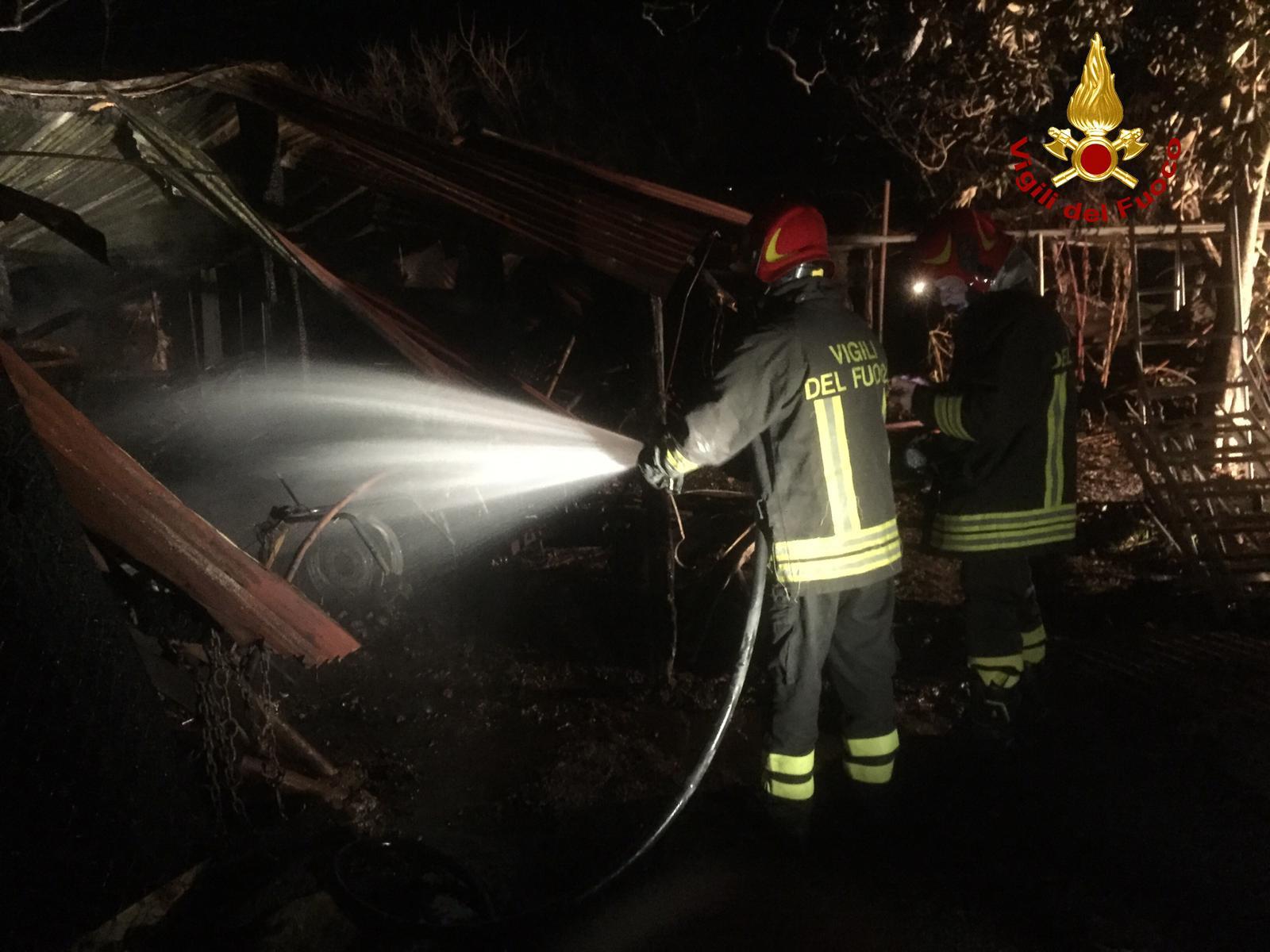 I vigili del fuoco al lavoro sull'incendio nel capanno di animali