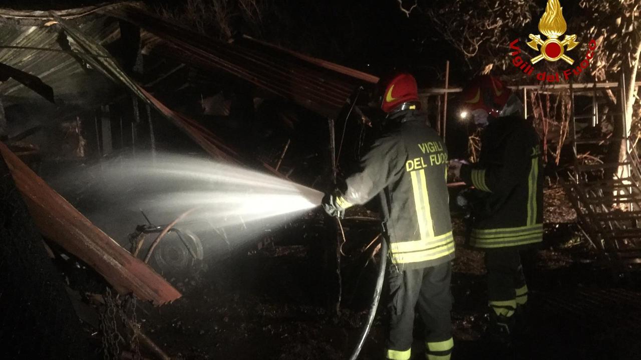 I vigili del fuoco al lavoro sull'incendio nel capanno di animali
