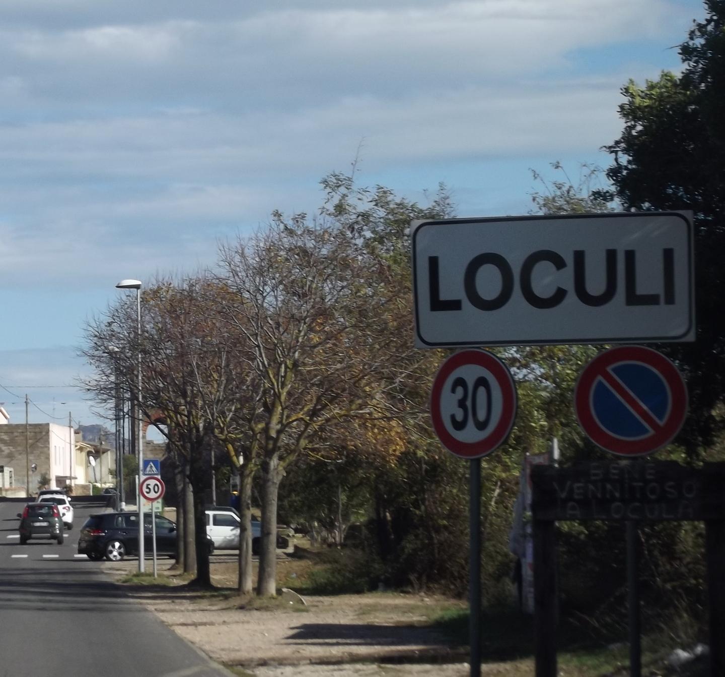 Domande in corso per pascolo bestiame nei terreni comunali