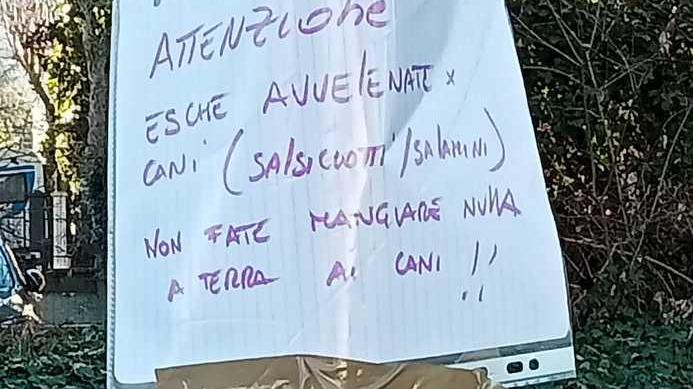 Sassuolo. Gomma fritta e salami al veleno Al parco c’è chi odia i cani