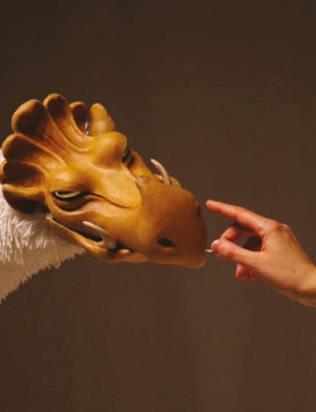 “Le Nid”, tutta la magia dell’incontro di due mondi