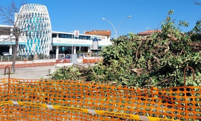 Arriva la rotonda, via gli alberi