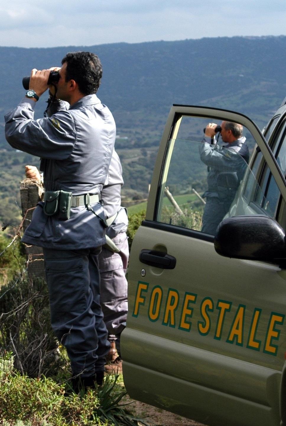 Una quindicina gli animali uccisi comprese volpi e specie protette