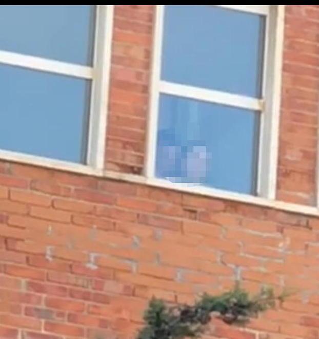 Un fermo immagine del video che sta girando su WhatsApp